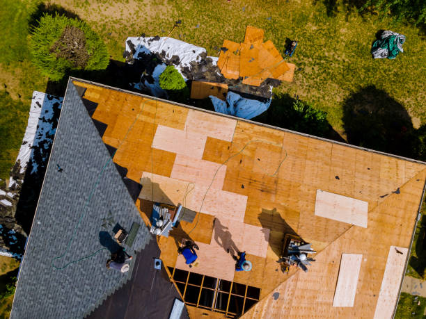 Best Flat Roof Repair Services  in Bellair Meadowbrook Terrace, FL