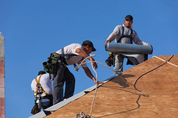 Roof Gutter Cleaning in Bellair Meadowbrook Terrace, FL